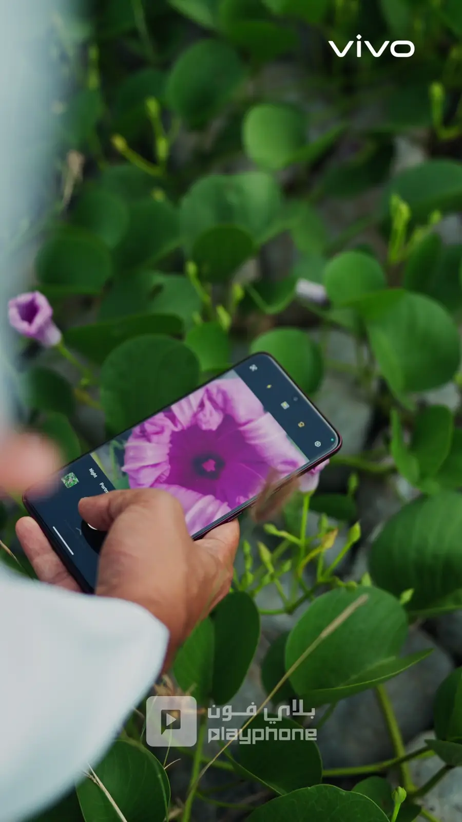 Vivo V50 film still