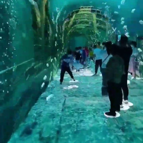 Immersive Projection Rooms — illustrative experience example